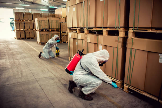 Wasp Removal Services in Clear Lake, WA