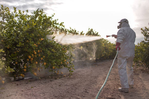 Best Pest Inspection Near Me  in Clear Lake, WA