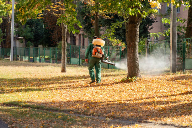 Wasp Removal Services in Clear Lake, WA