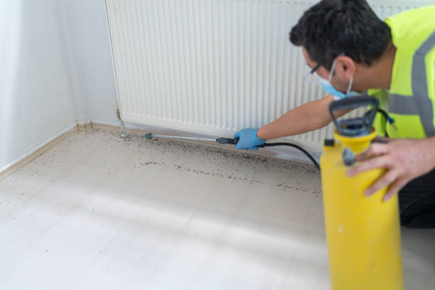 Best Local Pest Control Services  in Clear Lake, WA