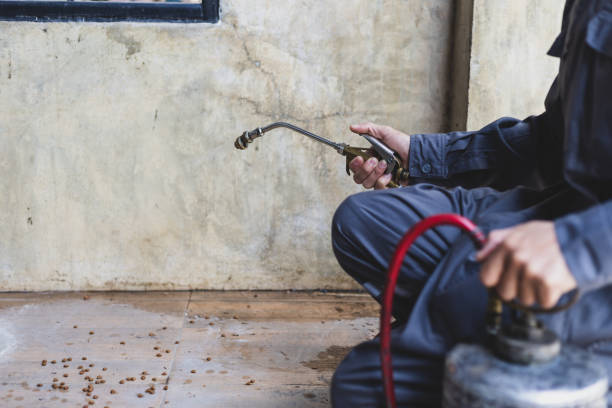 Best Pest Removal Services  in Clear Lake, WA
